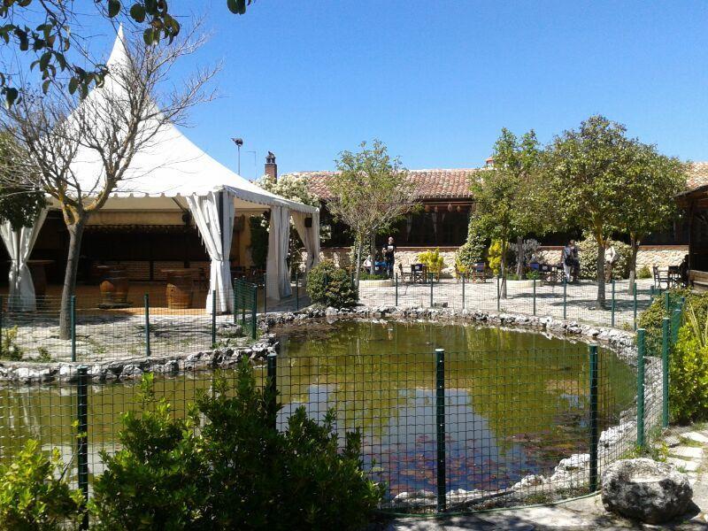 Hotel Los Rastrojos Aranda de Duero Eksteriør billede